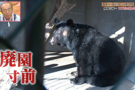 日本最慘動物園募資開始《東筑波烏托邦》拯救動物們的最後希望…… 日本最慘動物園募資開始《東筑波烏托邦》拯救動物們的最後希望……