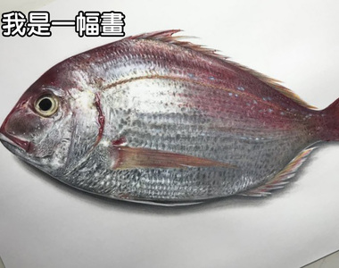 「徳田有希」迷上擬真繪圖系列《超逼真活跳跳魚繪圖》太厲害啦~