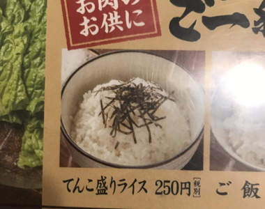 另一種意義的《菜單照騙》只是想配碗白飯而已怎麼這麼難...