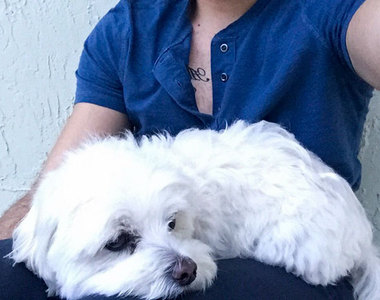 《送狗去理容後～》老爸你接回來的不是我們家的狗（淚笑）