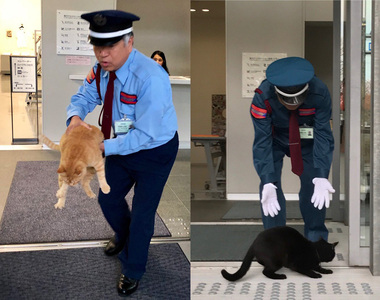 警衛苦惱阻擋《想進入美術館的貓》你們沒買門票不能進去啦~(擋)