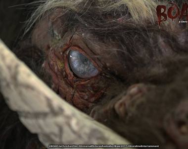 澳洲恐怖片《爆走山豬》聽起來肉質應該很有嚼勁...