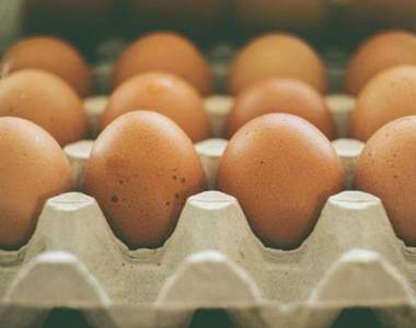 小心吃錯變反效果《吃蛋的禁忌》知道蛋不能跟什麼一起吃嗎?