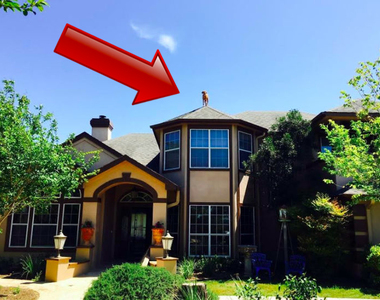 《就是喜歡屋頂的狗》聽說只有笨蛋和煙喜歡高的地方