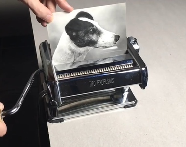 用裁紙機把《一張狗狗照片變成四張》有趣的一分二、二分四照片拼湊