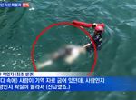 韓國釜山外海發生《只有穿牛仔褲的下半身》報案人「還以為是玩偶」