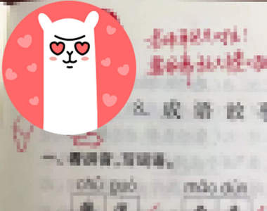 看完想再念一次書《小學老師表情包評語》爆紅 生動插畫讓學生超期待寫作業w