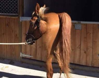 《其實靈異照片就是超失敗全景照?》一不小心還會跑出限制級照片?