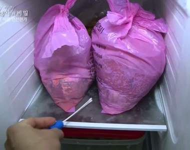 韓國媽媽異想天開新妙方《把垃圾冰冰箱》這樣就不會有發臭了？