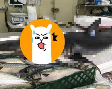 魚販攤位驚見《神秘魚貨》網友表示:這條誰敢買回去阿...
