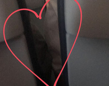 《飛機愛情故事》協調換位湊成愛侶 媒婆整路超高調LIVE