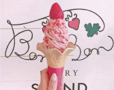 日本最新打卡甜點《伊豆草莓工場》放眼望去只看得到草莓❤這裡是天堂嗎ww