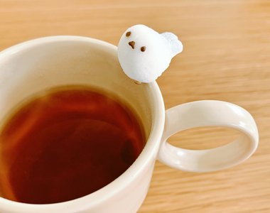 雪之妖精《銀喉長尾山雀砂糖杯緣子》你怎麼捨得融化牠?