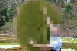 你沒想到過《事情的另一面》有看過大王蓮背後長什麼樣子嗎? 你沒想到過《事情的另一面》有看過大王蓮背後長什麼樣子嗎?