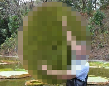 你沒想到過《事情的另一面》有看過大王蓮背後長什麼樣子嗎？