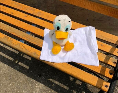 【可愛溫馨】致道博物館《尋找遺失30年的唐老鴨娃娃主人》工作人員把鴨鴨照顧得很好喔~也太貼心了(暖)