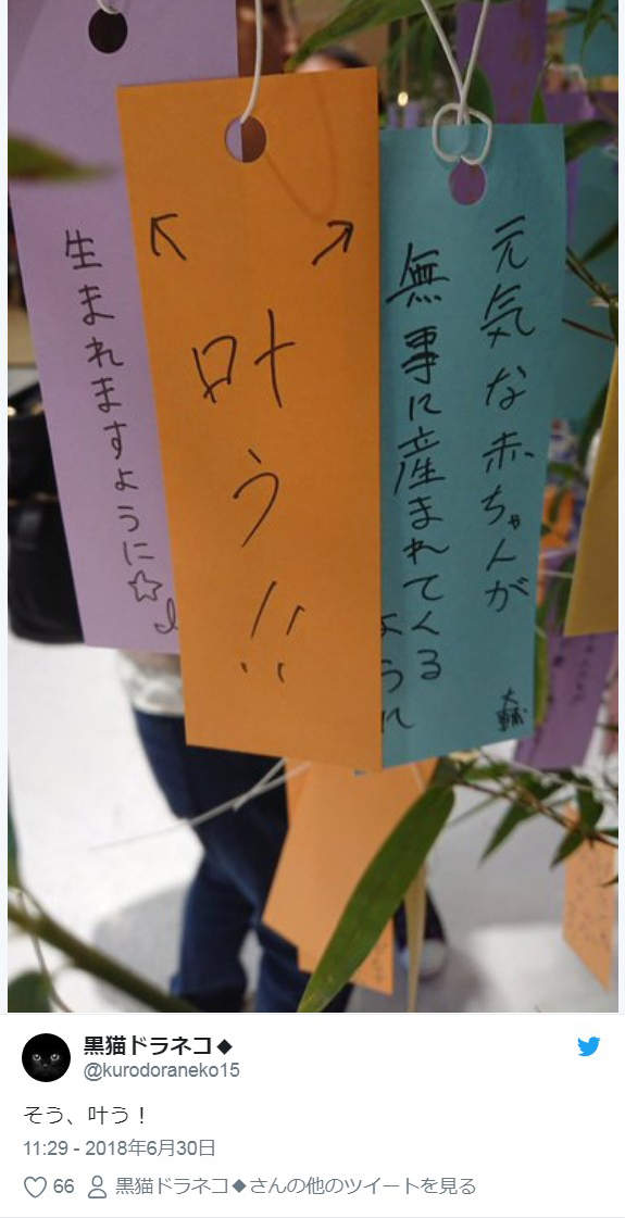 七夕慣例 爆笑七夕短冊 這麼浪漫的節日到底哪時候走歪的 Ww