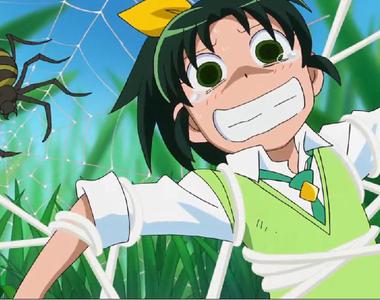 電玩迷疑惑《為什麼蜘蛛都是敵人》長得很可怕依然是益蟲呀……