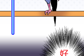 小鸚鵡飼養日記 第16話 小鸚鵡飼養日記 第16話