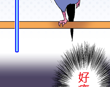 小鸚鵡飼養日記 第16話