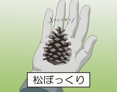 集思廣益想用途《漫畫特典送毬果》自己撿不就好了嗎……