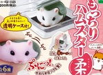 超可愛๑´ㅂ`๑《日式和菓子倉鼠轉蛋》大人氣的倉鼠點心組療癒登場 超可愛๑´ㅂ`๑《日式和菓子倉鼠轉蛋》大人氣的倉鼠點心組療癒登場