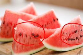 切下去前幾個步驟 超省時的《無籽西瓜》教你靠智慧完成切西瓜