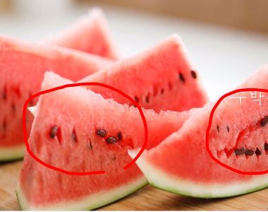 切下去前幾個步驟 超省時的《無籽西瓜》教你靠智慧完成切西瓜