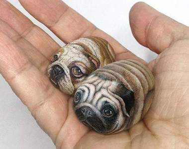 《繪石動物》大自然的鬼斧神工搭配創意就能蹦出新生命