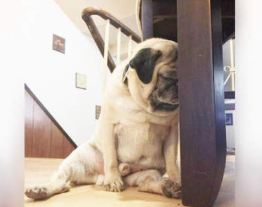 《感覺累垮了的瞬間》這個瞬間有感越來越密集這樣是不是很不妙XD