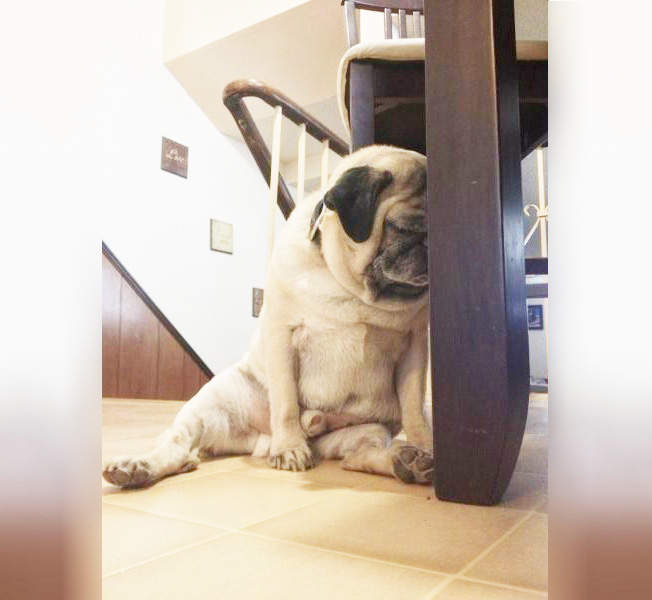 圖片1 圖片1