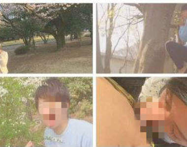 SOD片商新題材預定《賞櫻賞到幫含含的女友》兩位的羞恥心w