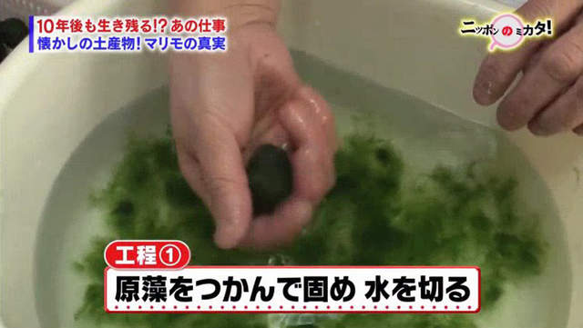 北海道名產 毬藻紀念品的祕密 原來是湯圓我還以為是毬藻呢