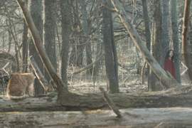 你看的到我嗎《七年之夜》韓國一場車禍帶走5歲小女孩...