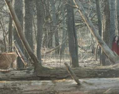 你看的到我嗎《七年之夜》韓國一場車禍帶走5歲小女孩...