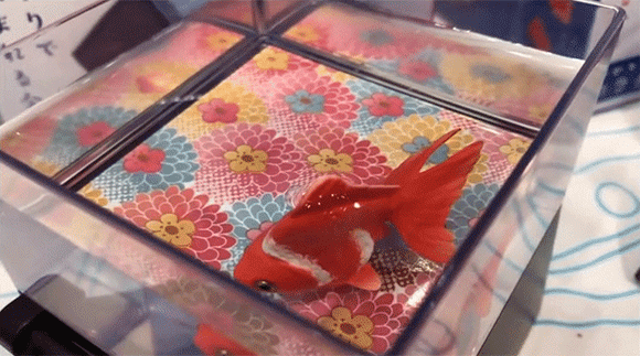 圖片2 圖片2