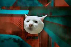 推特話題《惡搞貓咪跳躍失敗影片》距離沒抓好真的很痛啊....