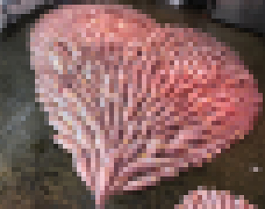 《魚市場過情人節》這樣表達愛意應該會把人嚇跑吧...(⊙_⊙)