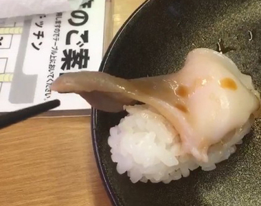 推特瘋傳《新鮮過頭的北寄貝壽司》還真的第一次看到會動的壽司料啊...