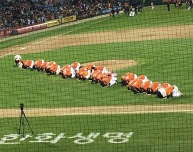 韓國網友在網路找生魚片《GOOGLE竟誤會這張也是生魚片》好啦很像XD