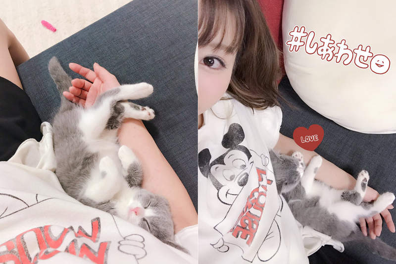 《彩美旬果与猫》我愿意戴上猫耳跟性感的主人天天嬉闹❤ - 图片4 《彩美旬果与猫》我愿意戴上猫耳跟性感的主人天天嬉闹❤