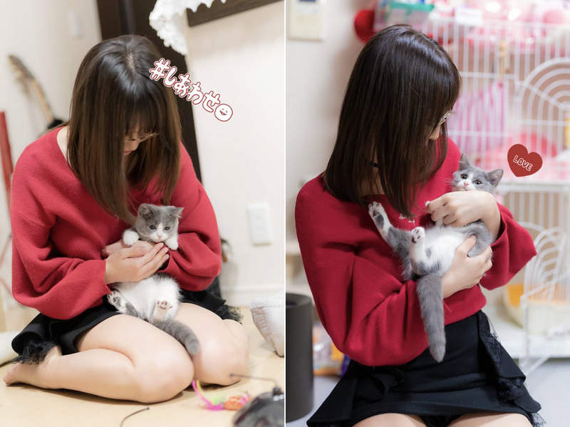 《彩美旬果与猫》我愿意戴上猫耳跟性感的主人天天嬉闹❤ - 图片5 《彩美旬果与猫》我愿意戴上猫耳跟性感的主人天天嬉闹❤