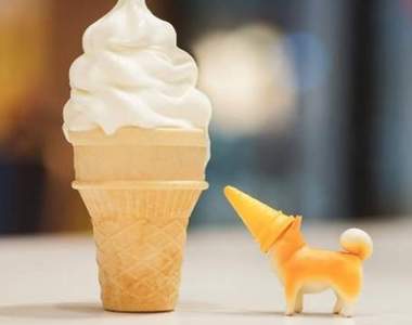 這是什麼奇特生物?《「三角錐柴犬」盒玩》天然呆紀念物傻萌登場