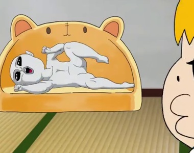 貓狗超愛爆紅商品《宜得利飯店式樣枕》飯店枕頭的確莫名的舒服……