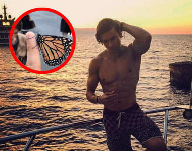 《鮮肉與蝴蝶的奇遇》這完全是可以寫成一本浪漫小說的劇情嘛