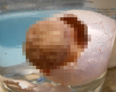 恐怖玩具《水裡敷寶寶》看了以後會留下陰影.......