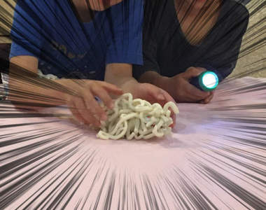 日本捕獲《野生烏龍麵》!?香川縣才會出現的頻臨絕種怪獸(噓)