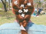 櫻花季炎上議題《不要拔櫻花來做頭花裝飾》就只為了拍出美照跟風在社群網站上打卡傷害櫻花樹 櫻花季炎上議題《不要拔櫻花來做頭花裝飾》就只為了拍出美照跟風在社群網站上打卡傷害櫻花樹