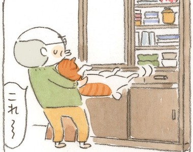 人貓溫馨互動《貓咪與老爺爺》妻子過世後與貓咪小玉相依為命