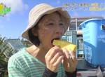 沖繩觀光歷史課《台灣移民建立鳳梨產業》了解這段故事石垣島更好玩…… 沖繩觀光歷史課《台灣移民建立鳳梨產業》了解這段故事石垣島更好玩……